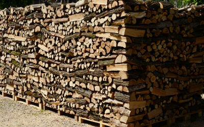 Stacked Firewood