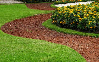Curved Mulch Landscaping
