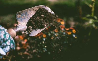 Tilling the topsoil